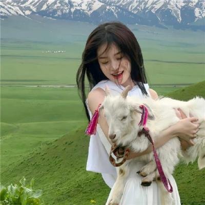 打黑风暴